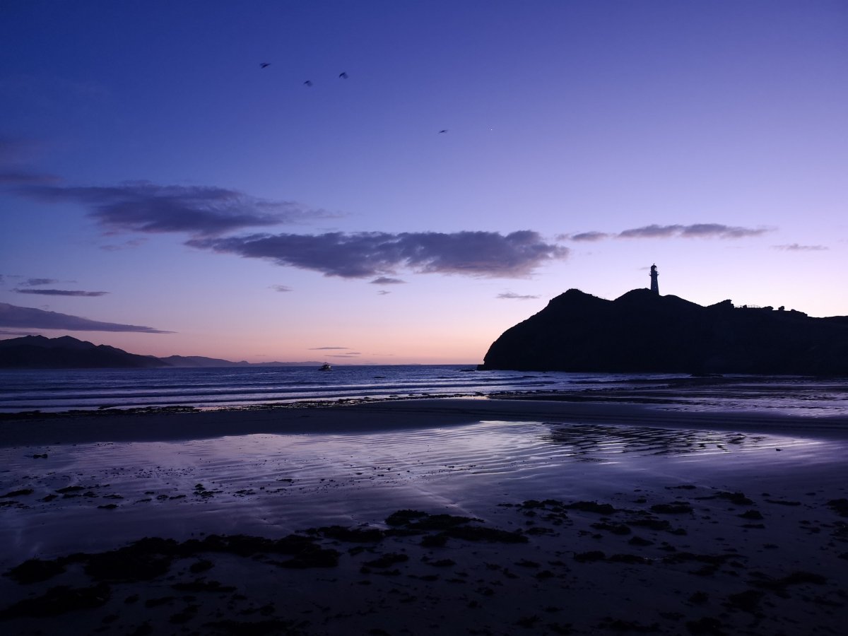 29 June 20 Castlepoint&nbsp;awakening